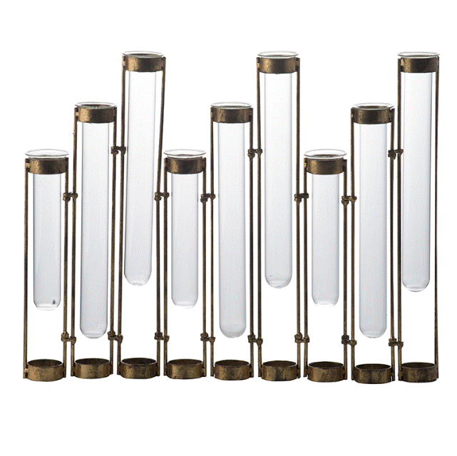 Glass Vial Flower Vase With Bronze Iron Frame