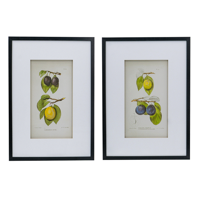 Botanical Wall Art With Black Frame - Sold Separately