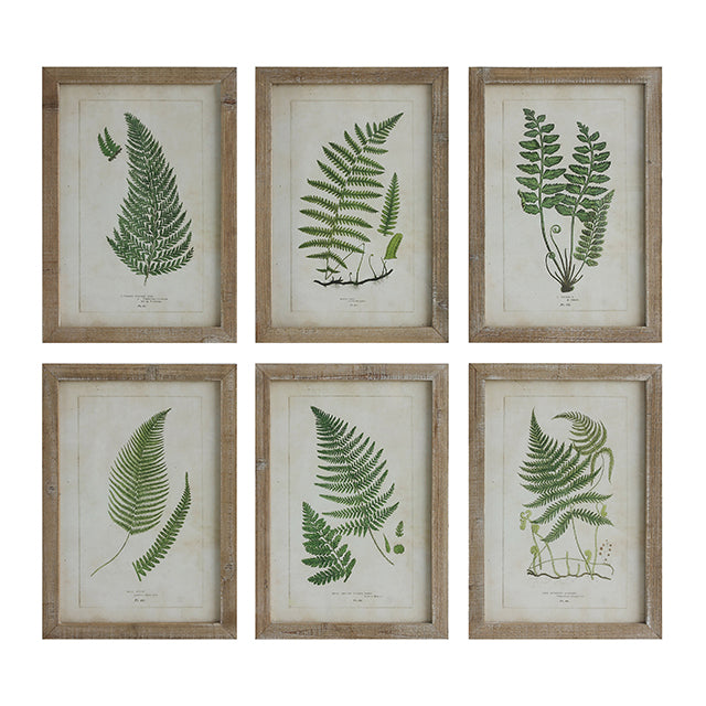 Fern Wall Art With Wooden Frame - Sold Seperately