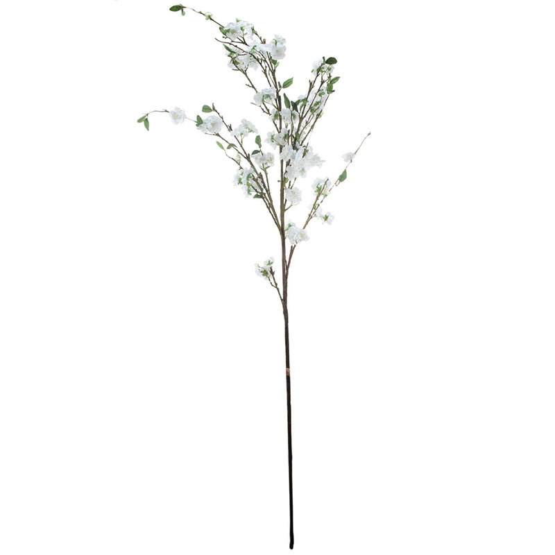 Apple Blossom Branch