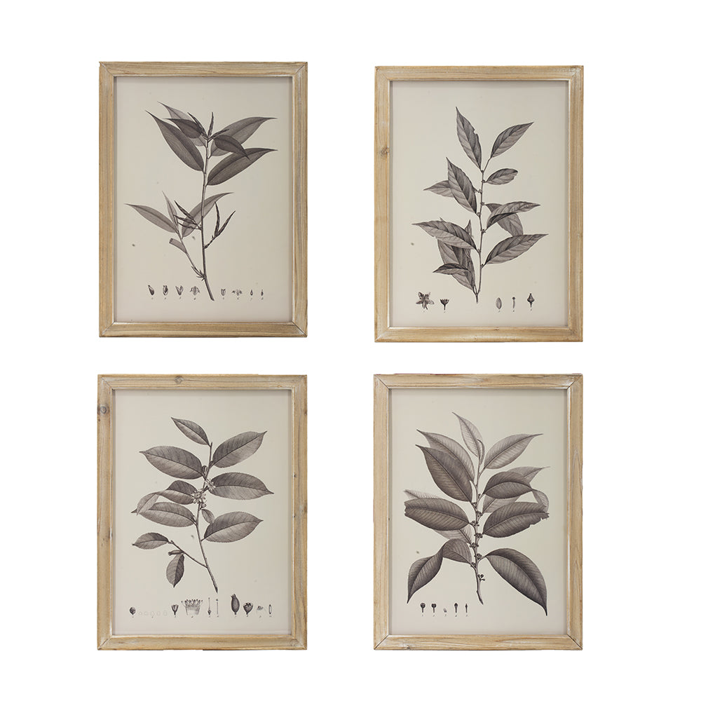 Neutral Botanical Print With Whitewashed Frame - Sold Separately