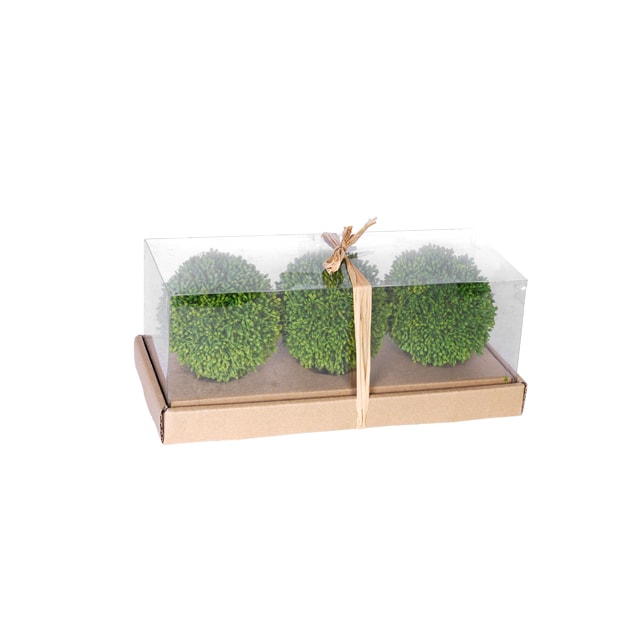 Topiary Ball - Small Single