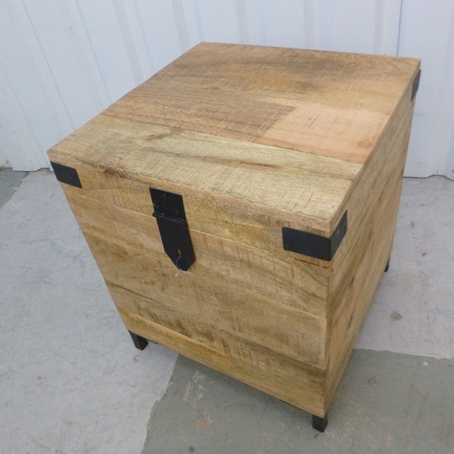 Munford Iron And Mango Wood Trunk