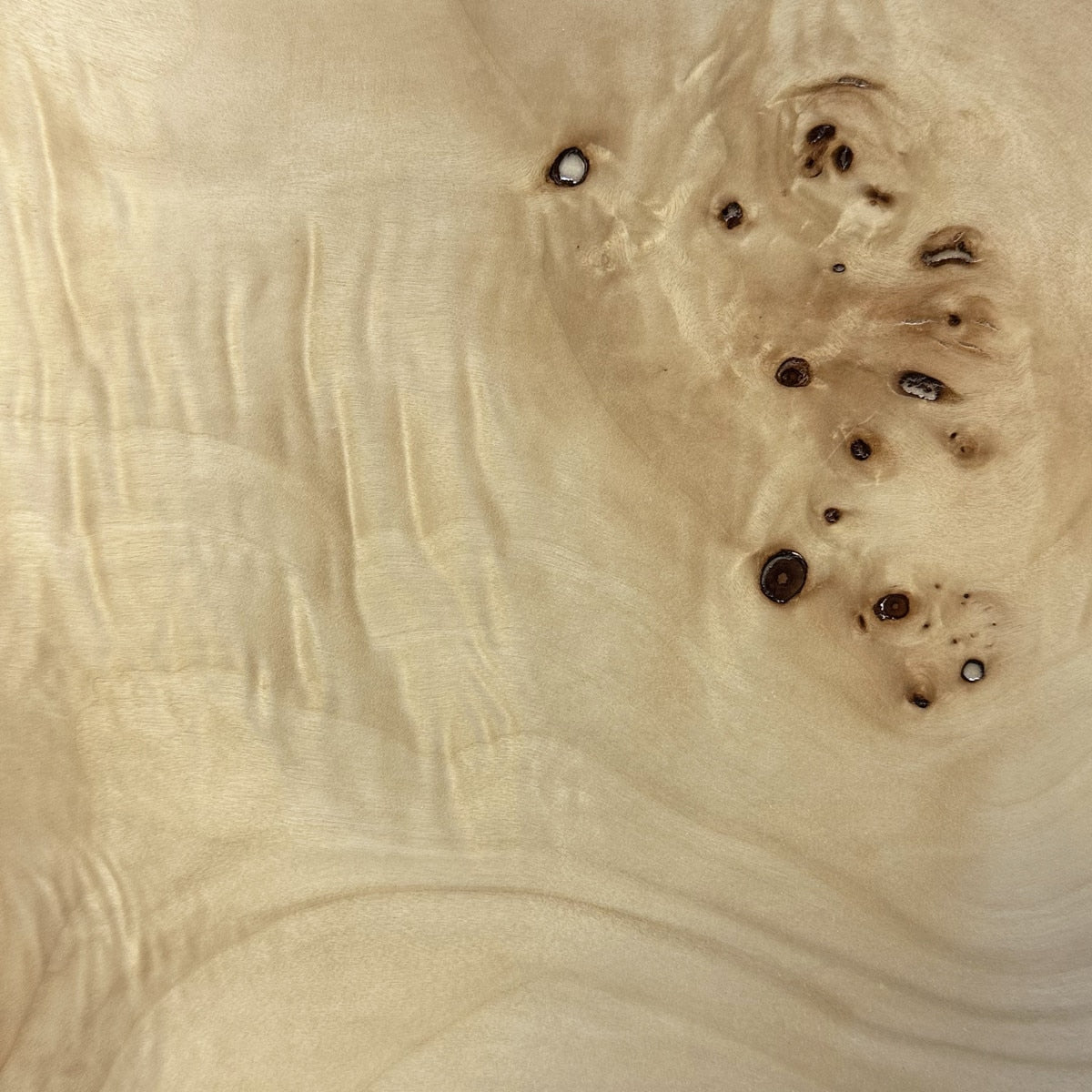 Tessa Natural Burl Wall Mirror