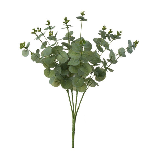 Eucalyptus Bunch