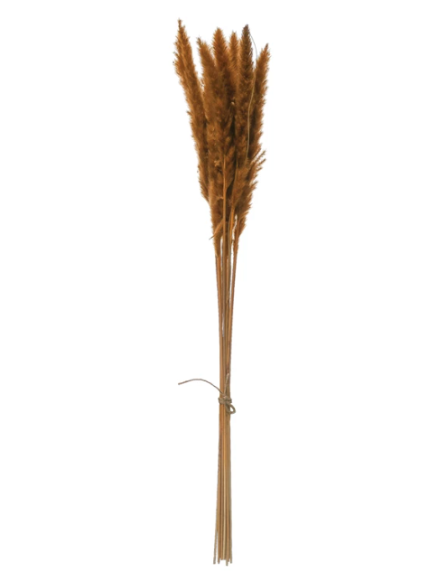 HD2029