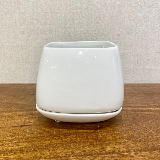 Wall Bowl - Large White