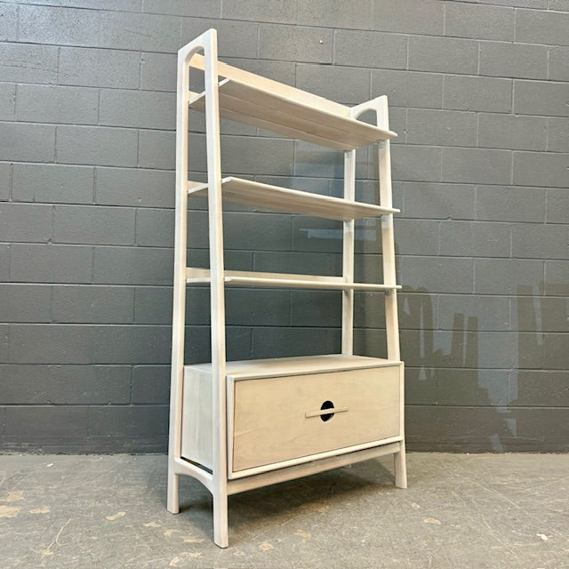 Ajwain Bookcase