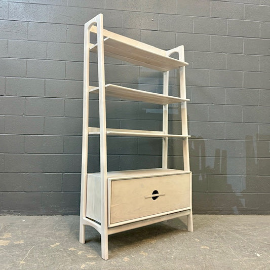 Ajwain Bookcase