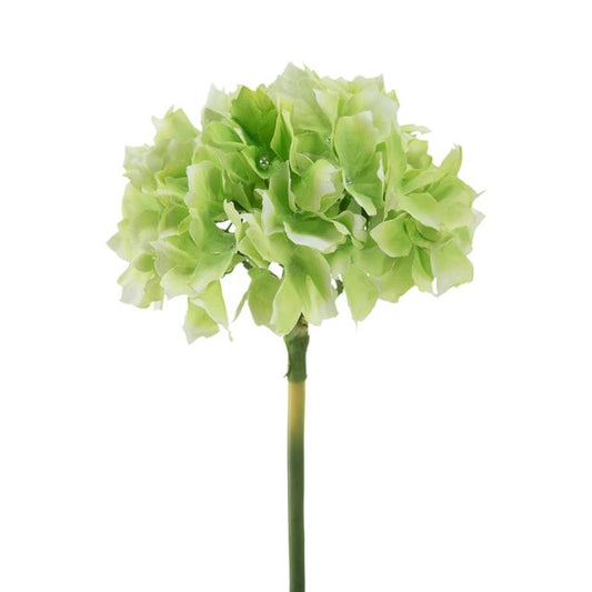 Green Hydrangea Floral Stem