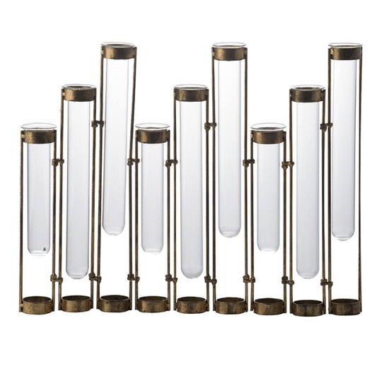 Glass Vial Flower Vase With Bronze Iron Frame