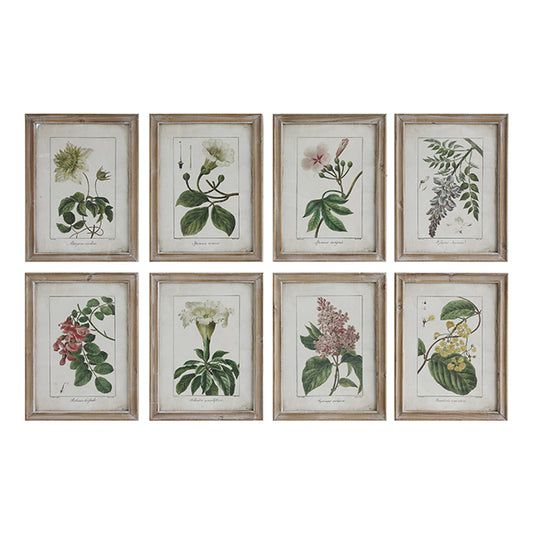 Vintage Floral Wall Art Prints With Wooden Frame - Sold Seperately