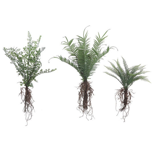 Faux Ferns With Exposed Roots - Assorted