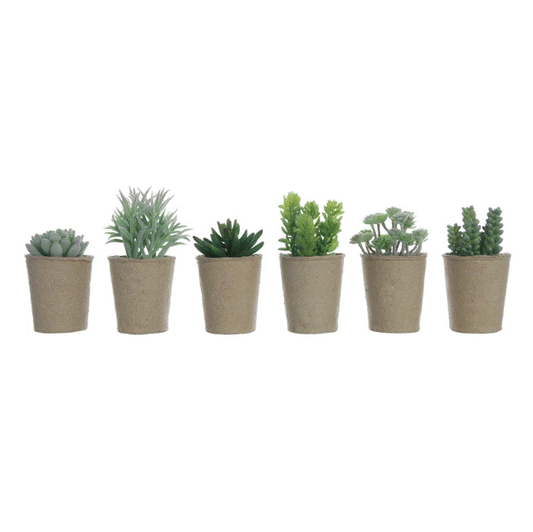 Faux Succulent In Paper Pot - Assorted