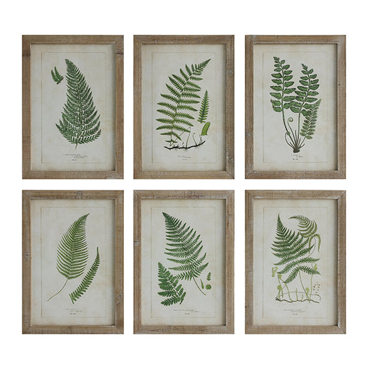 Fern Wall Art With Wooden Frame - Sold Seperately