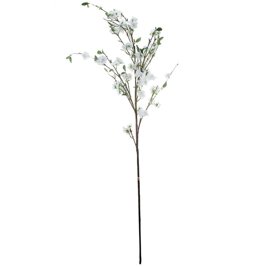 Apple Blossom Branch