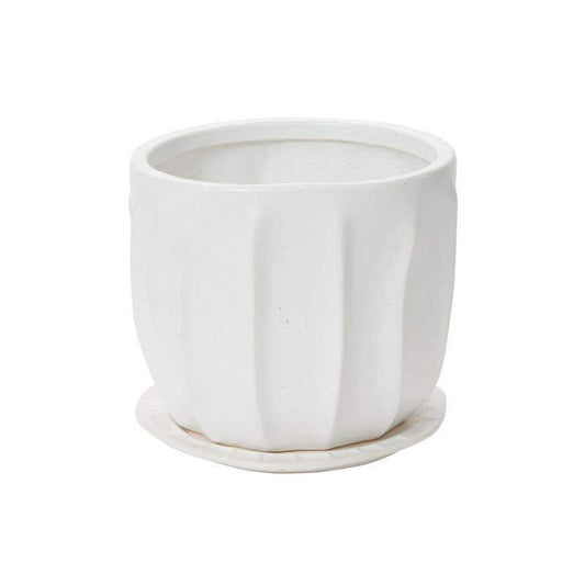 Draken Pot - Large