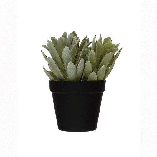 Faux Succulent In Pot