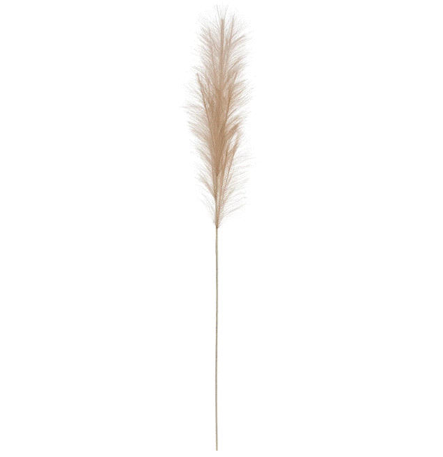 Faux Pampas Grass Plume - Cream