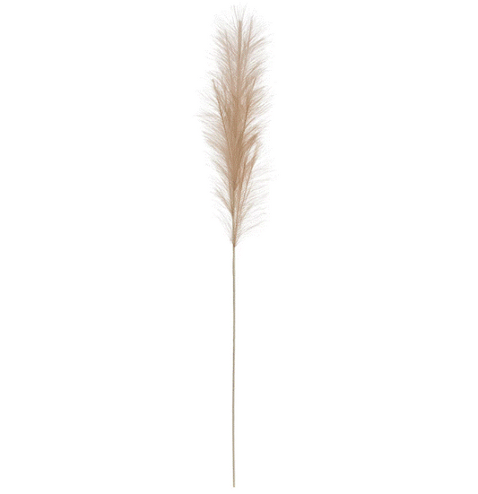 Faux Pampas Grass Plume - Cream