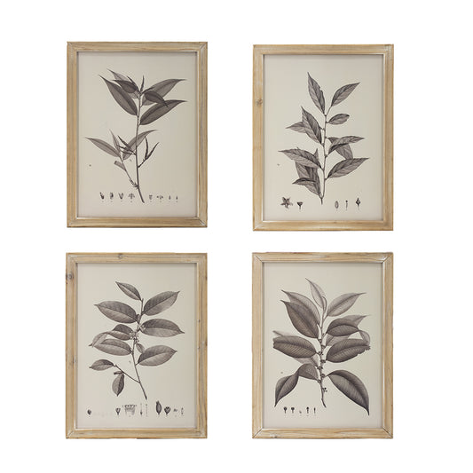Neutral Botanical Print With Whitewashed Frame - Sold Separately
