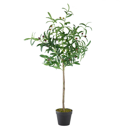 Olive Tree With Fruit And Cement Vase