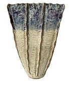 SRC004