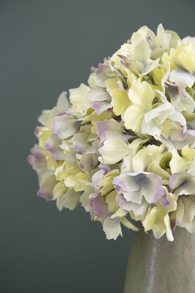 Hydrangea Floral Stem