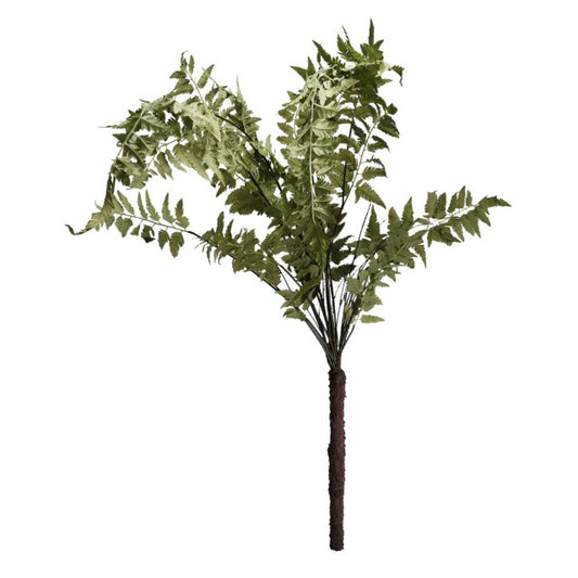 Wood Fern Bush Bunch
