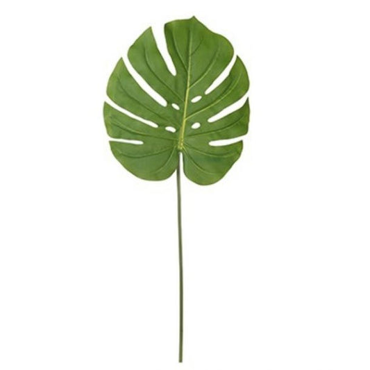 Monstera Leaf Stem