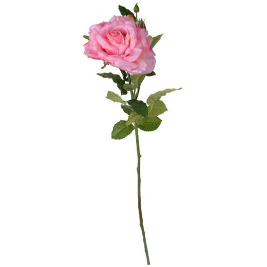 Soft Pink Rose Stem