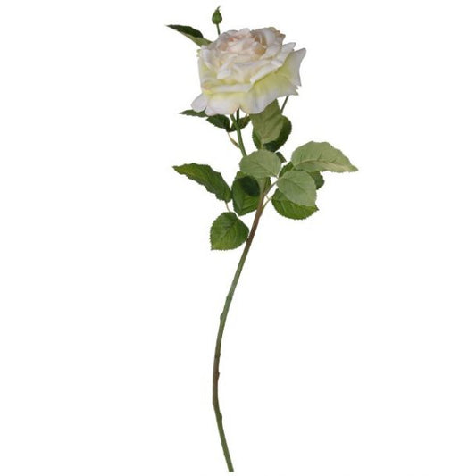Cream Rose Stem