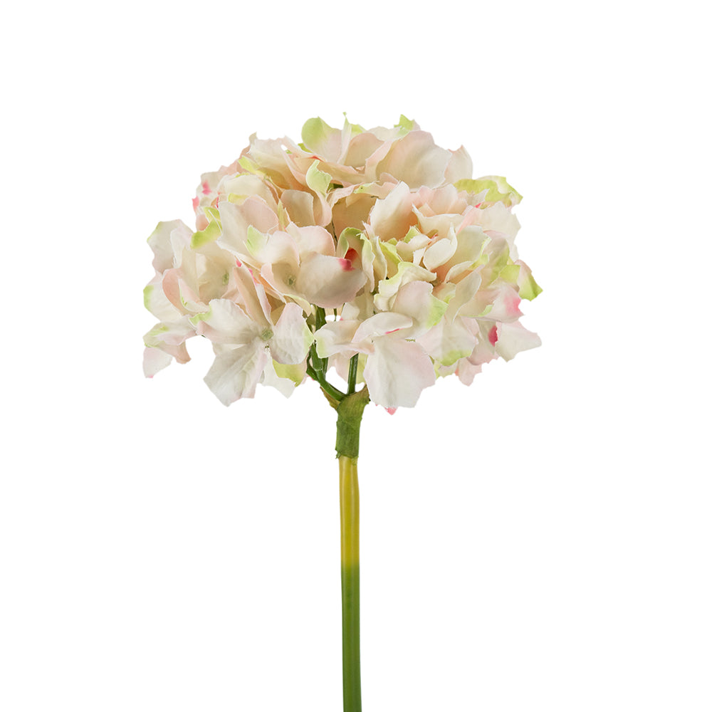 Hydrangea Floral Stem