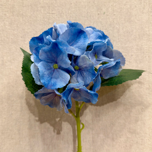 MFC001