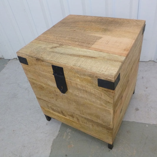 Munford Iron And Mango Wood Trunk